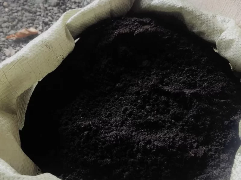 Must muld kompostiga